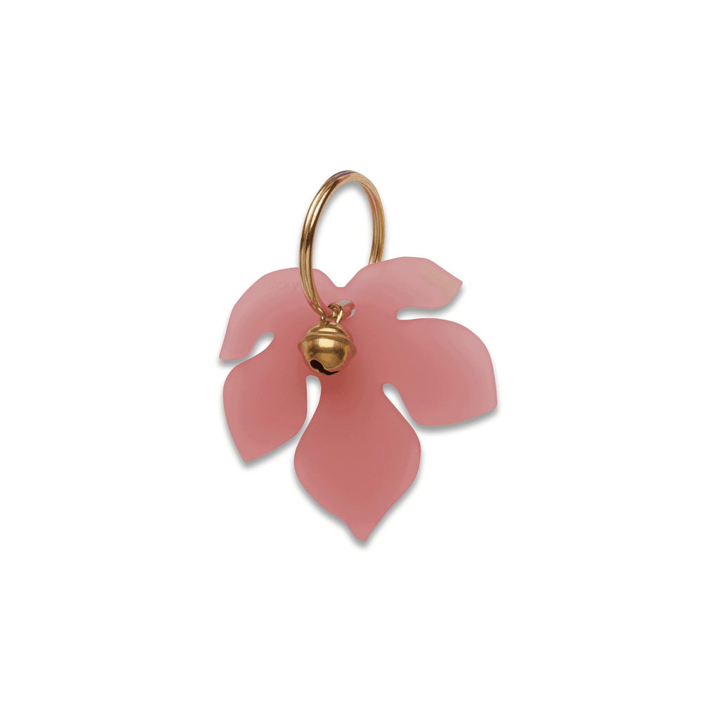 Lucky Fig - LUCKY MES