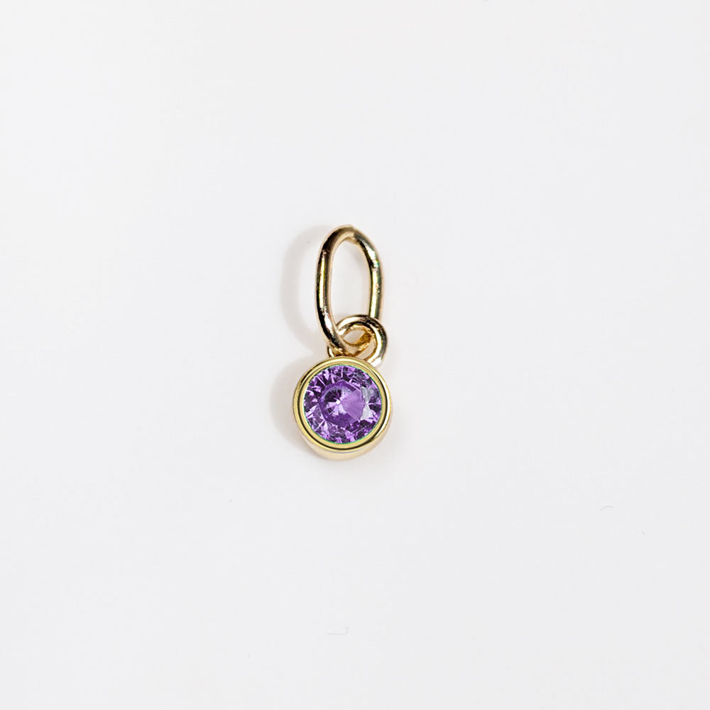Lucky Mes Geburtsstein Anhänger Februar – Amethyst Zirkonia 925 Silber vergoldet