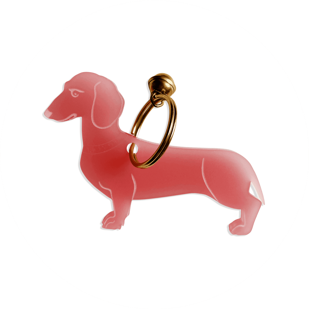 Lucky Dachshund (Dackel) - LUCKY MES