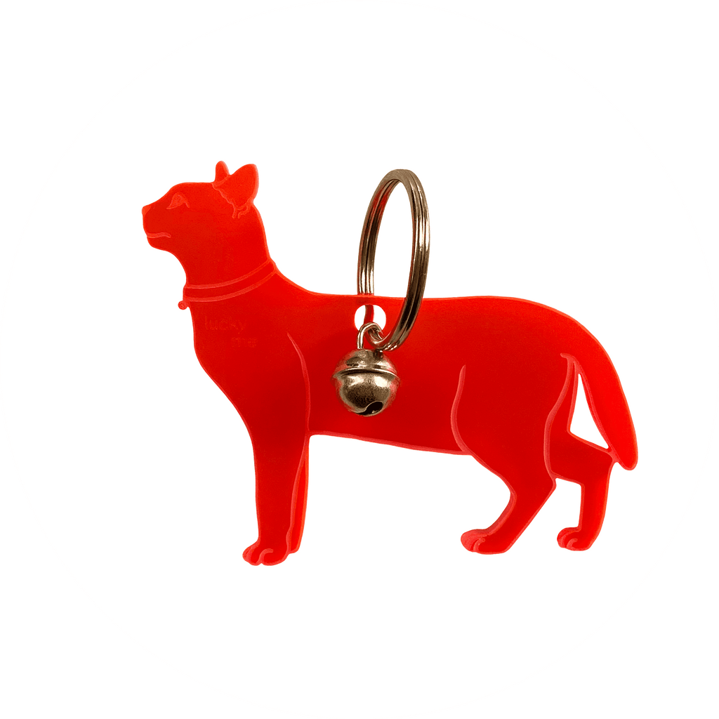 Lucky Cat - LUCKY MES