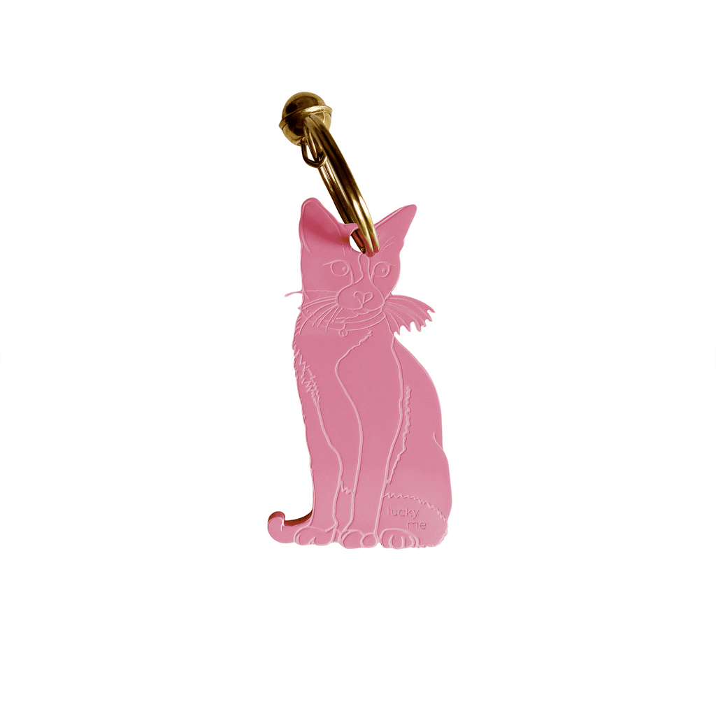 Lucky Cat sitting - LUCKY MES