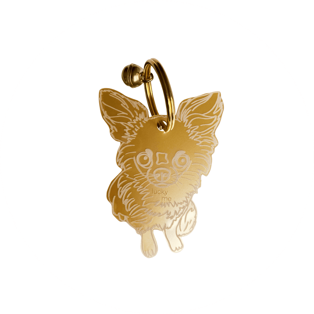 Lucky Chihuahua - LUCKY MES