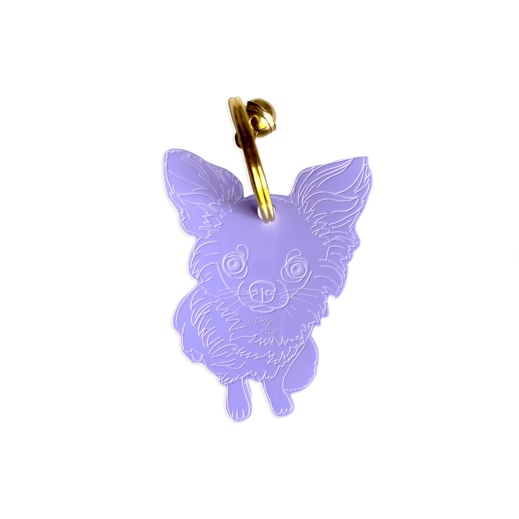 Lucky Chihuahua - LUCKY MES