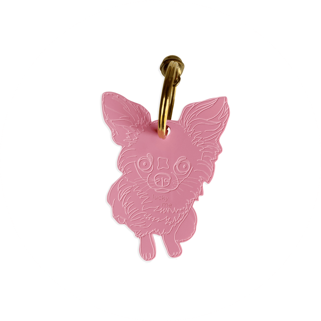 Lucky Chihuahua - LUCKY MES