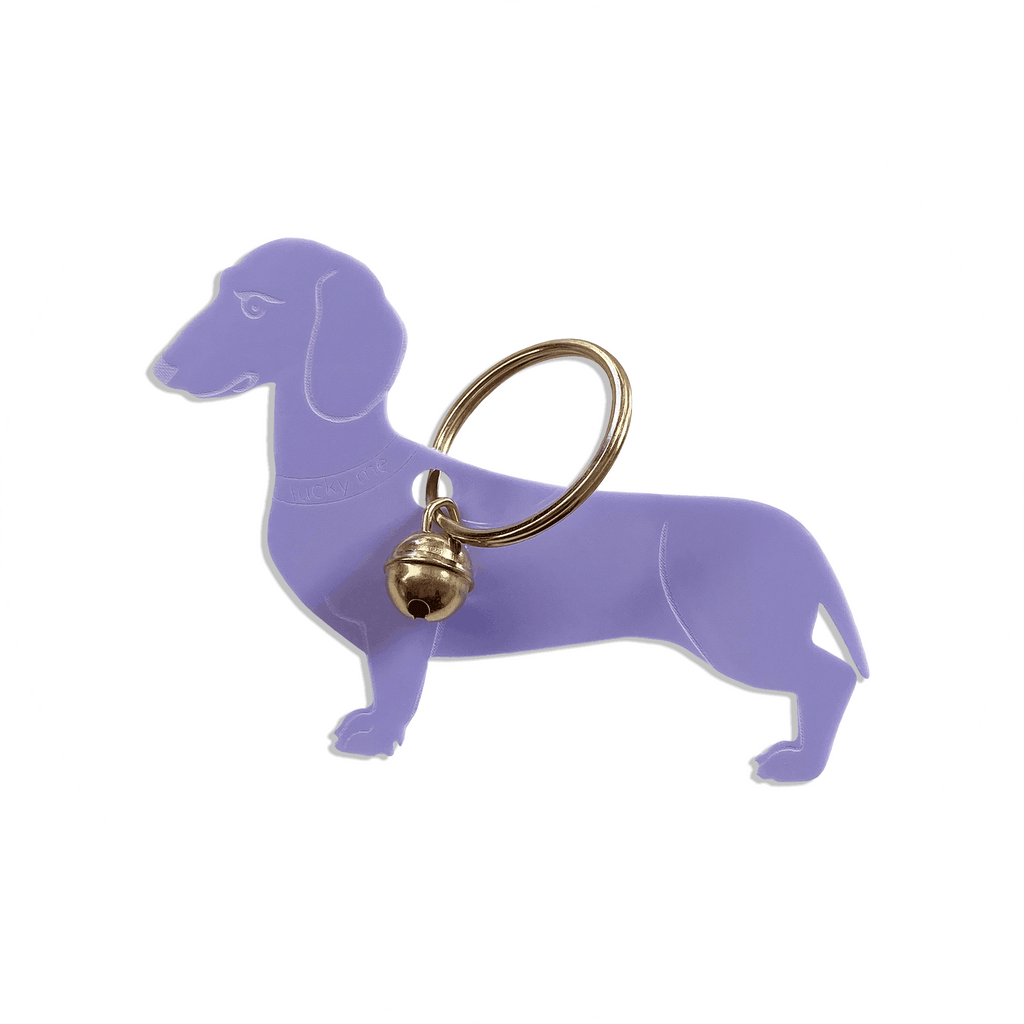 Lucky Dachshund (Dackel) - LUCKY MES