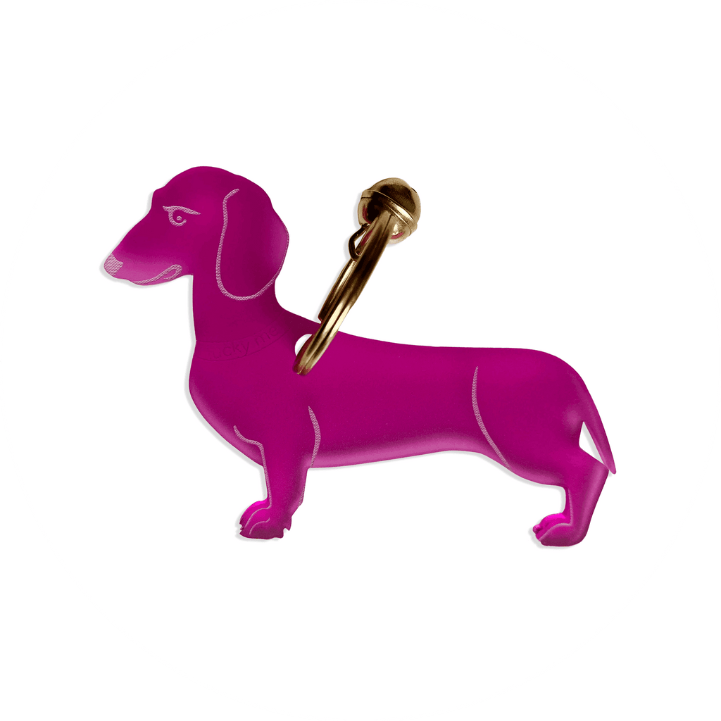 Lucky Dachshund (Dackel) - LUCKY MES