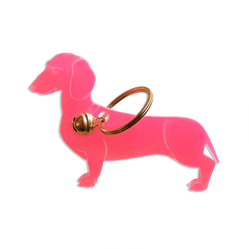 Lucky Dachshund (Dackel) - LUCKY MES