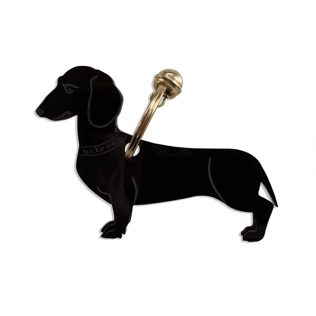 Lucky Dachshund (Dackel) - LUCKY MES