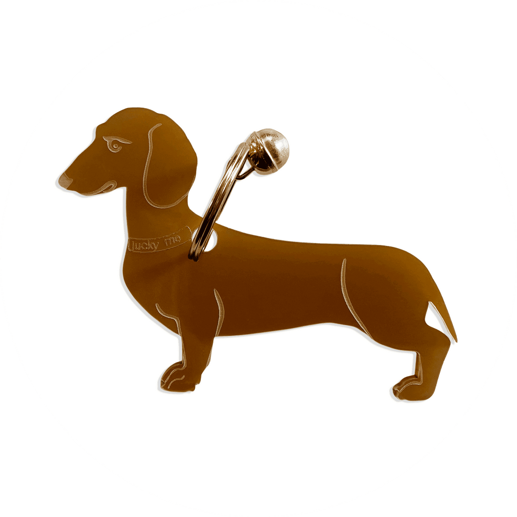 Lucky Dachshund (Dackel) - LUCKY MES