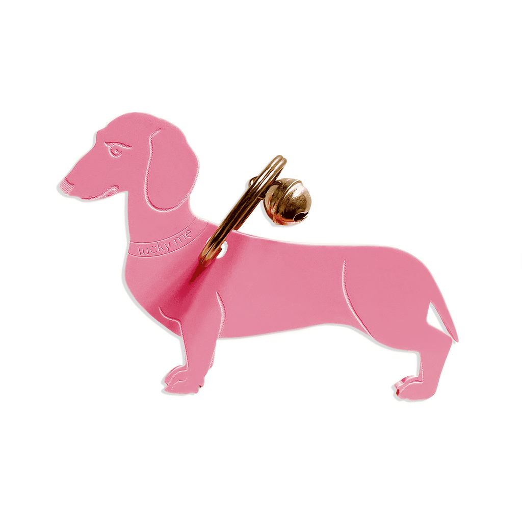 Lucky Dachshund (Dackel) - LUCKY MES