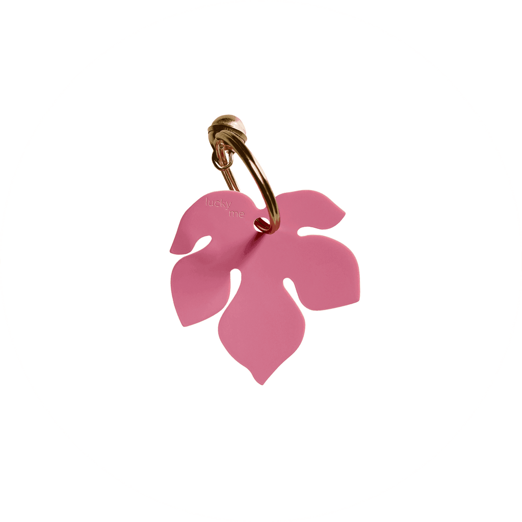 Lucky Fig - LUCKY MES