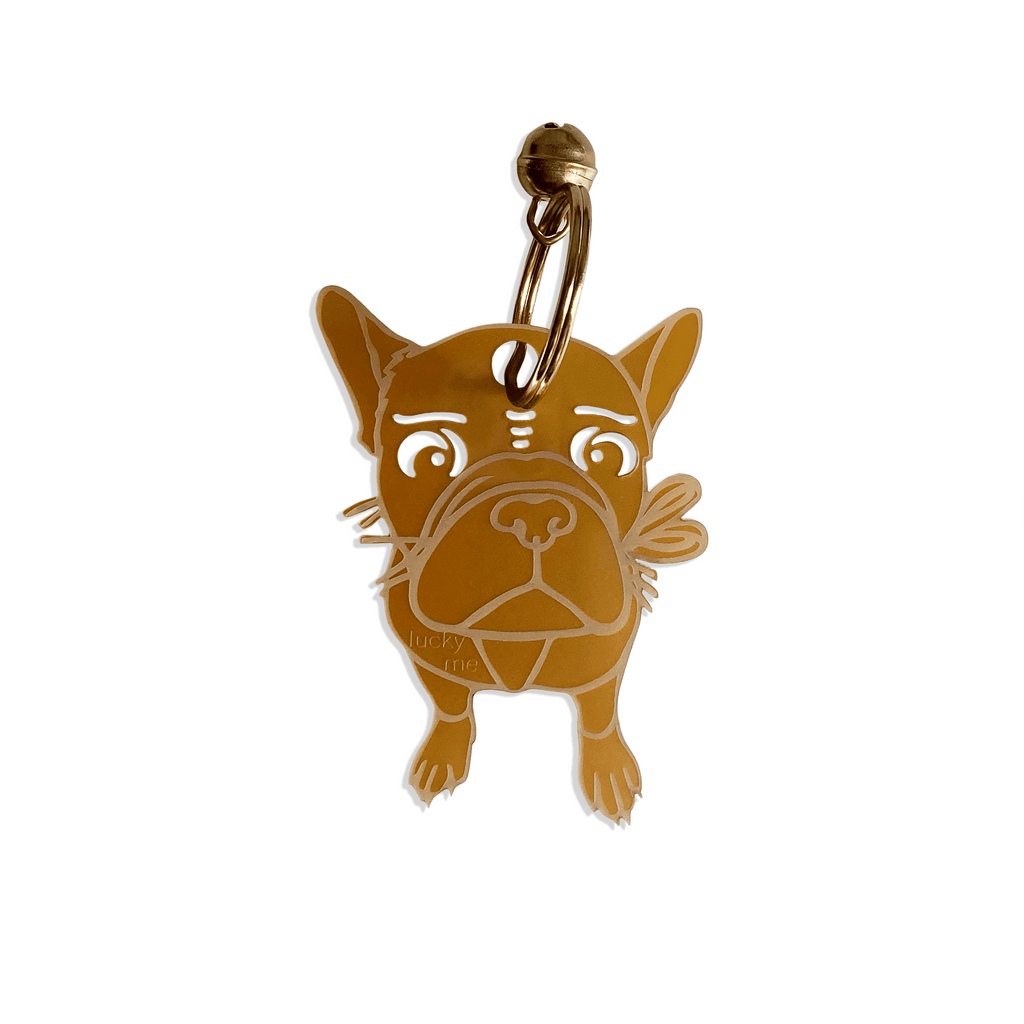 Lucky French Bulldog - LUCKY MES