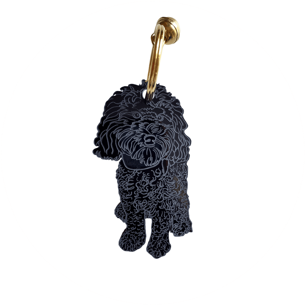 Lucky Labradoodle - LUCKY MES