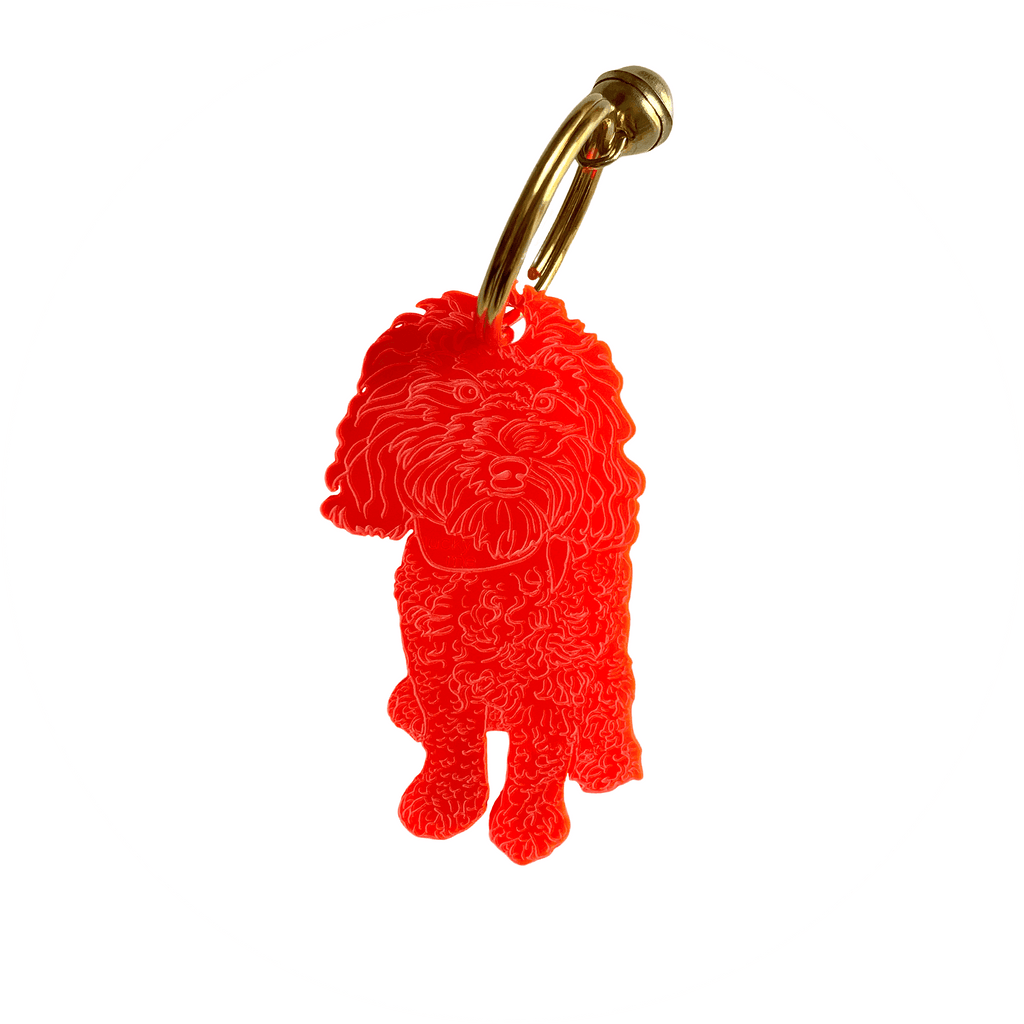 Lucky Labradoodle - LUCKY MES