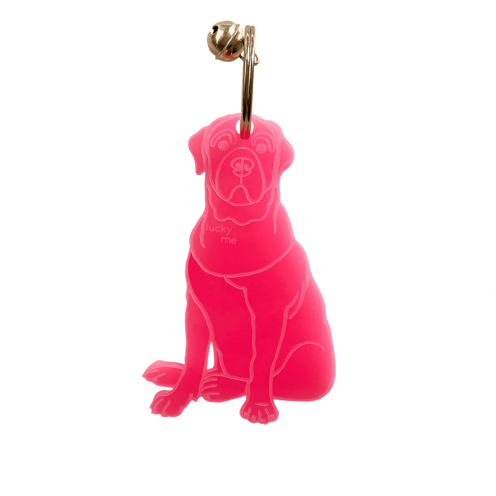 Lucky Labrador - LUCKY MES