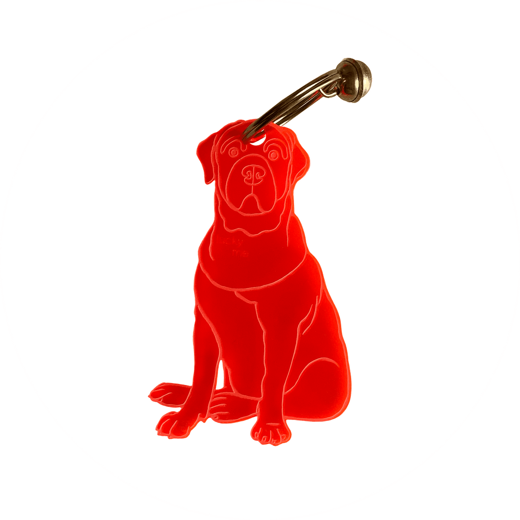 Lucky Labrador - LUCKY MES