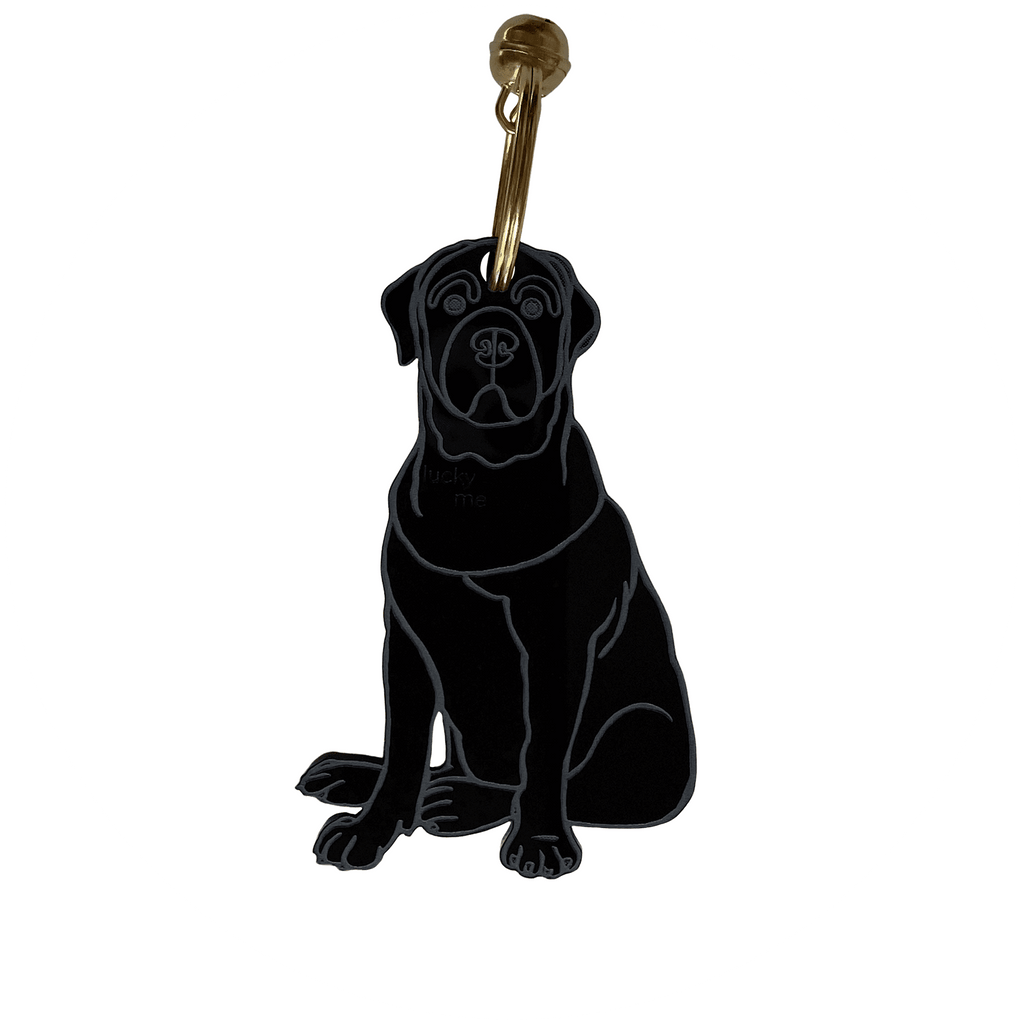 Lucky Labrador - LUCKY MES