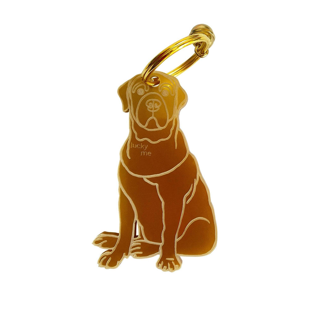 Lucky Labrador - LUCKY MES