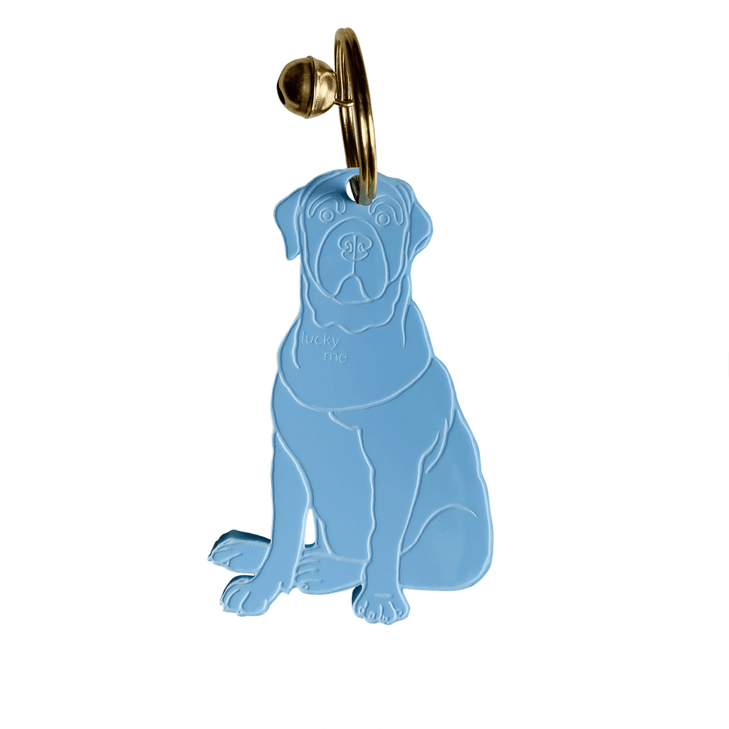 Lucky Labrador - LUCKY MES