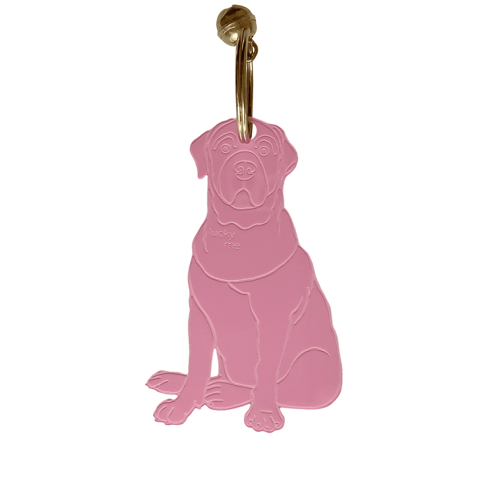 Lucky Labrador - LUCKY MES