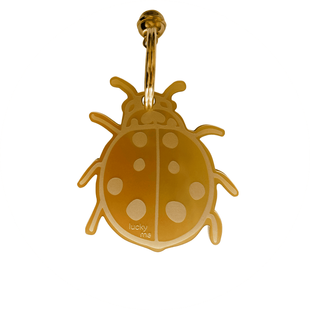 Lucky Lady Bug (Marienkäfer)