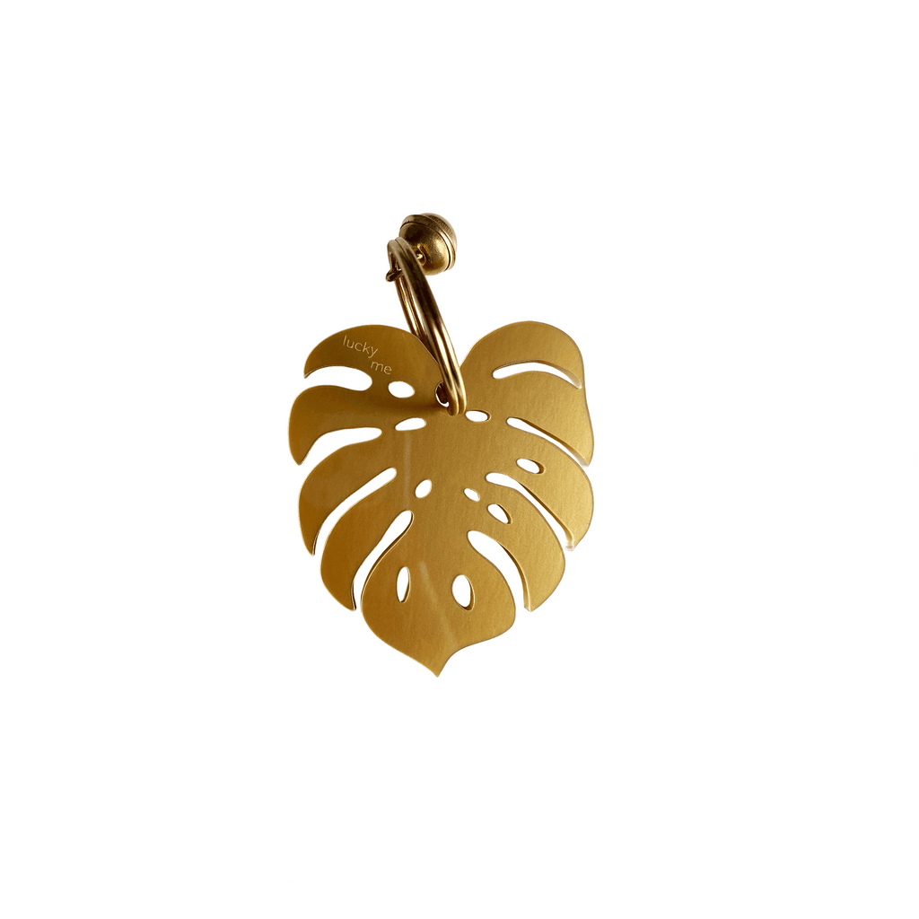 Lucky Monstera - LUCKY MES