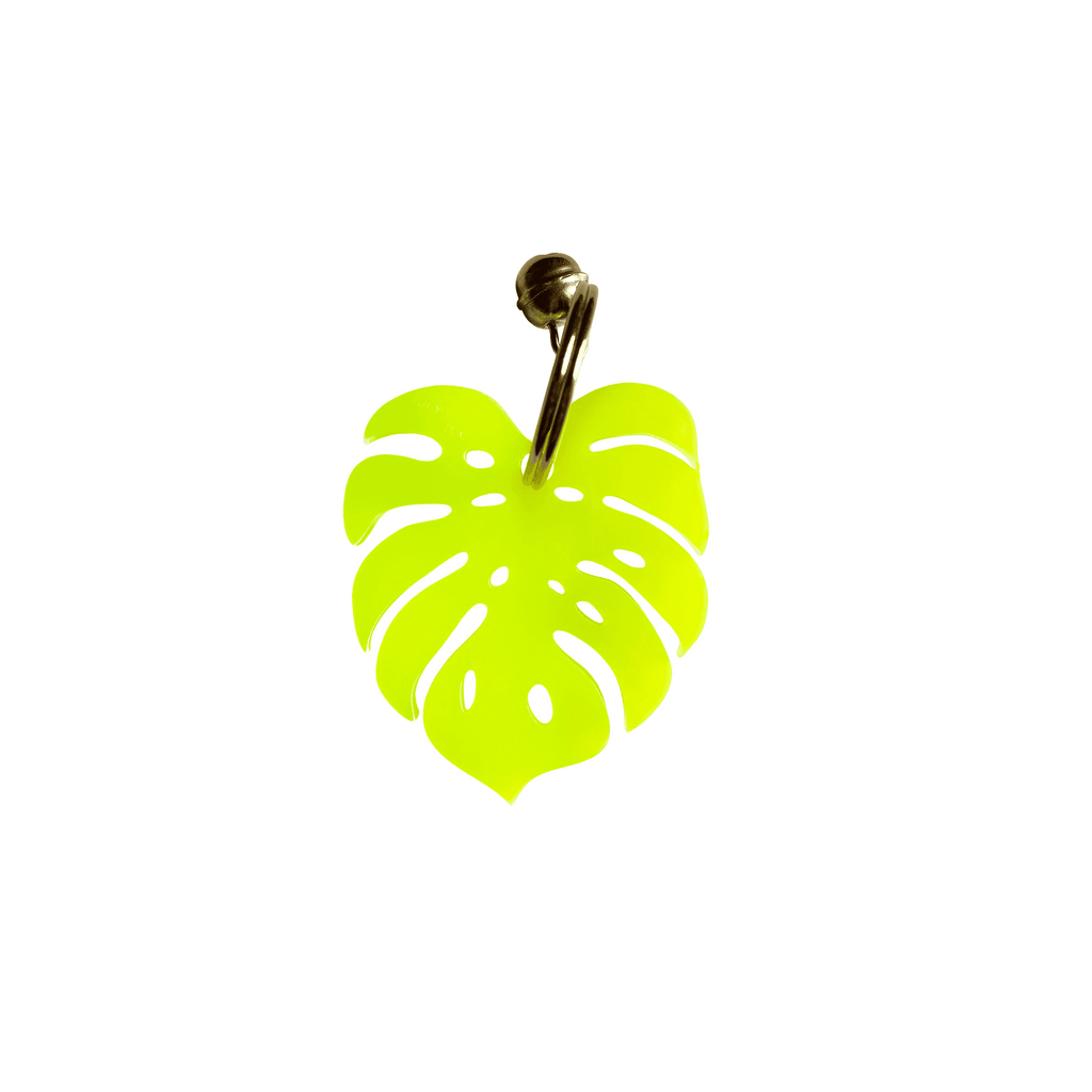 Lucky Monstera - LUCKY MES