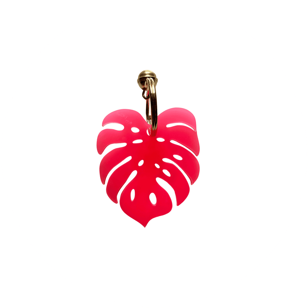 Lucky Monstera - LUCKY MES