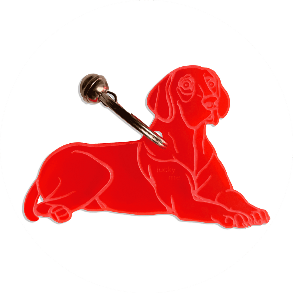 Lucky Vizsla - LUCKY MES