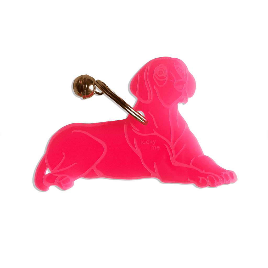 Lucky Vizsla - LUCKY MES