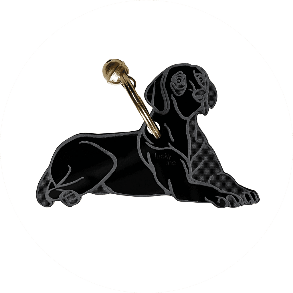 Lucky Vizsla - LUCKY MES