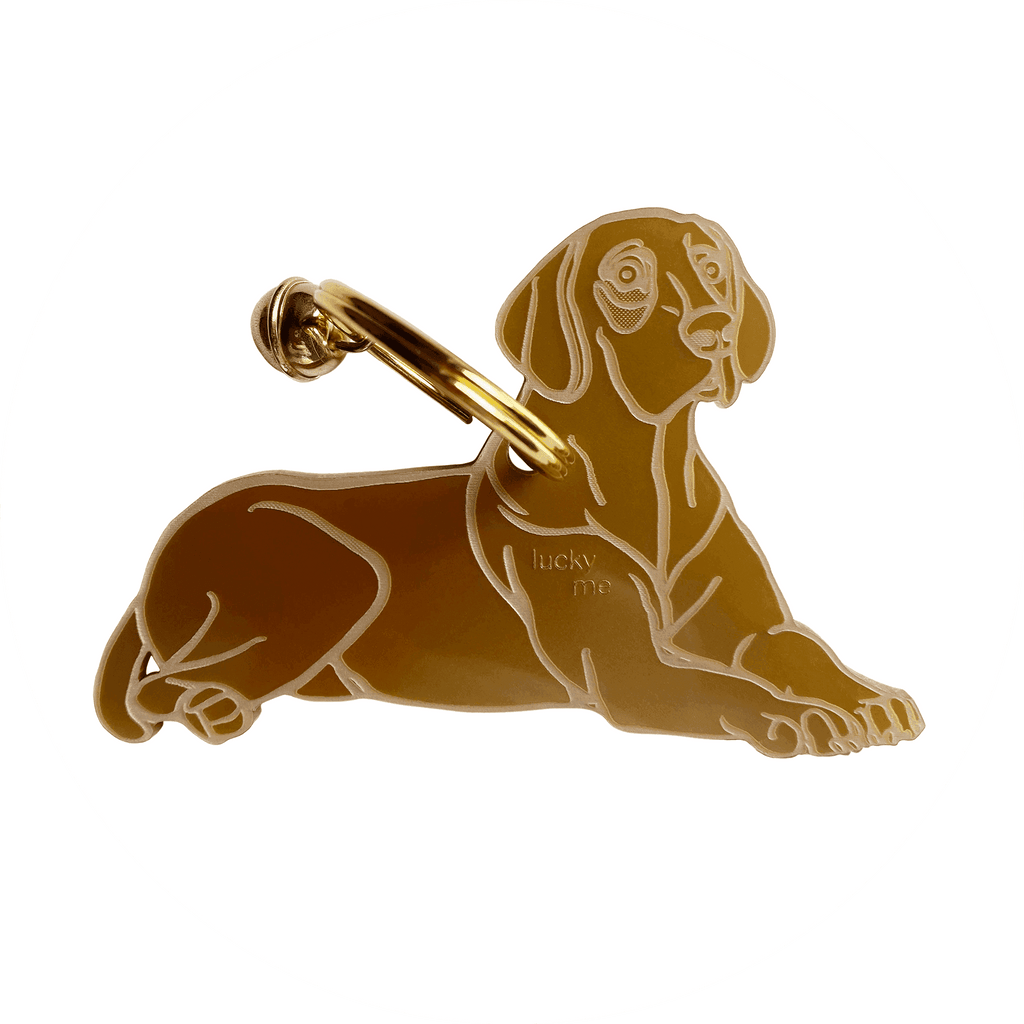 Lucky Vizsla - LUCKY MES